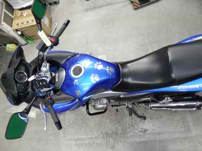 Suzuki GSR250S