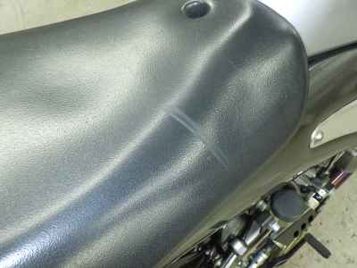 Suzuki Goose 250