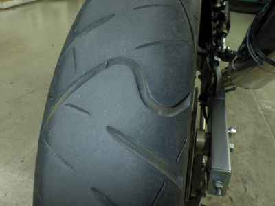Suzuki Goose 250