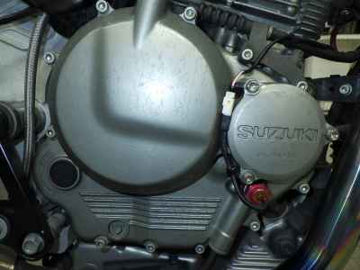Suzuki Goose 250