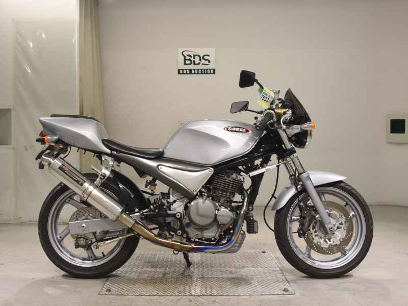 Suzuki Goose 250