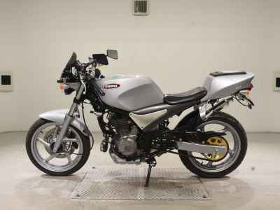 Suzuki Goose 250