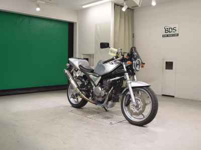 Suzuki Goose 250