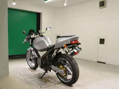 Suzuki Goose 250