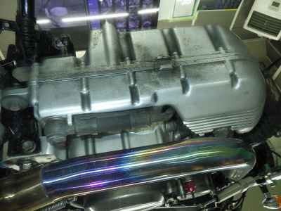 Suzuki Goose 250