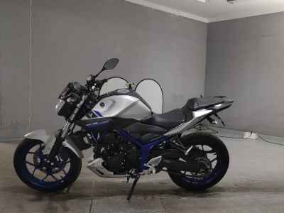 Yamaha MT-25 2016