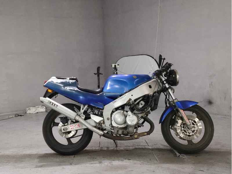 Yamaha FZR250R