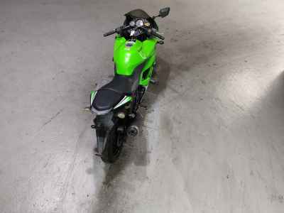 Kawasaki Ninja 250R 2010