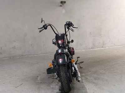 Harley-Davidson Sportster Forty-Eight XL1200X 2015