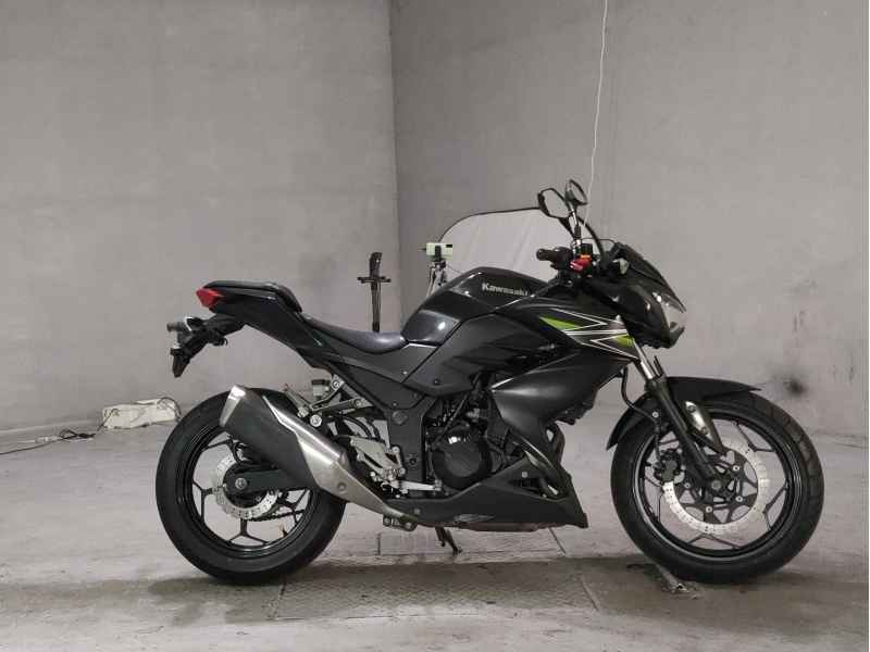Kawasaki Z250 2013