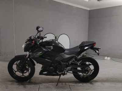Kawasaki Z250 2013