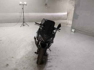 Kawasaki Ninja 1000 2017