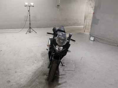 Suzuki GSX250R