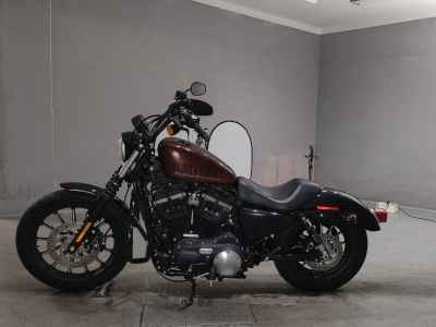 Harley-Davidson XL883N 2015