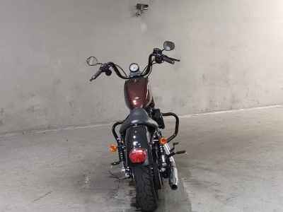 Harley-Davidson XL883N 2015