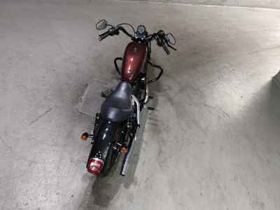 Harley-Davidson XL883N 2015