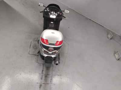 Honda Forza Z 2006