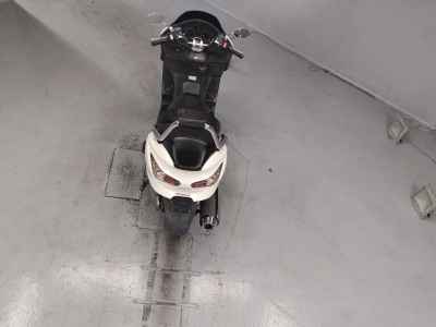 Honda Forza Z 2006