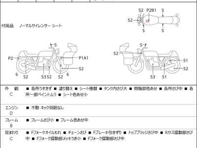 Yamaha SRX600