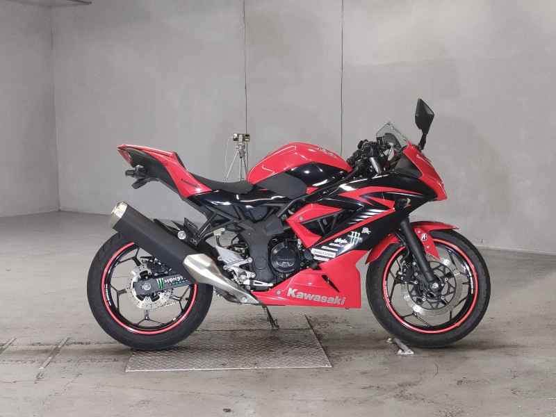 Kawasaki Ninja 250 2015