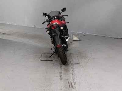 Kawasaki Ninja 250R 2010