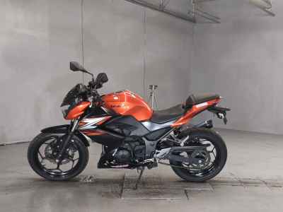 Kawasaki Z250 2014