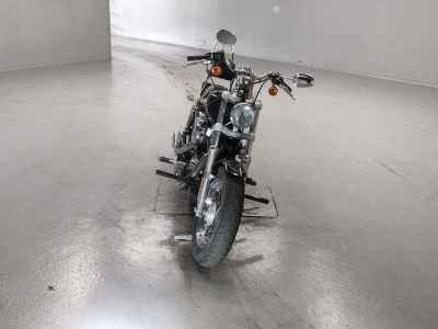 Harley-Davidson Sportster Custom XL1200C 2014