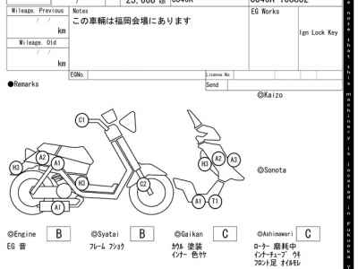 Suzuki Skywave 250S