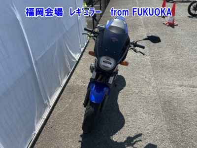 Honda Hornet 250