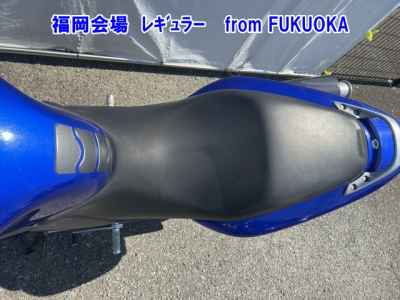Honda Hornet 250