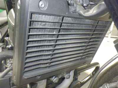 Honda Rebel CMX1100 DCT 2021