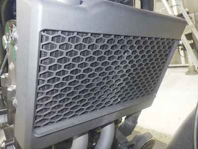 Honda Rebel CMX500 2022