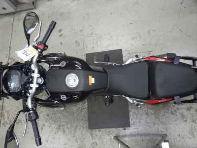 Benelli TRK251 2022