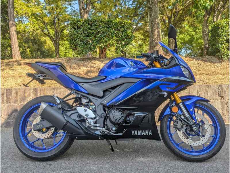 Yamaha YZF-R3 2019