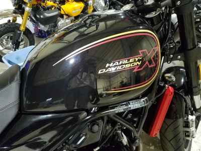 Harley-Davidson X500 2024