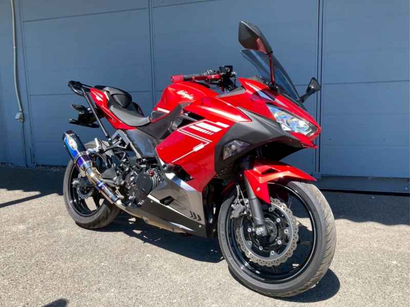 Kawasaki Ninja 250 2022