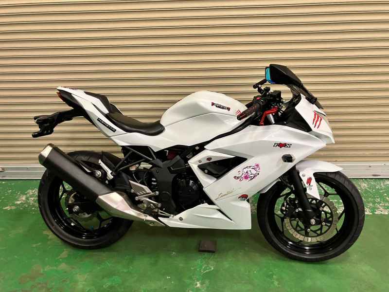 Kawasaki Ninja 250 2015