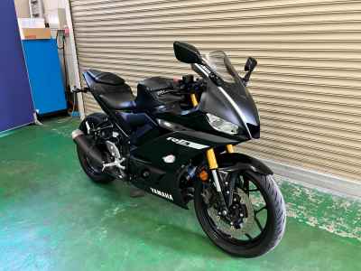 Yamaha YZF-R3 2019