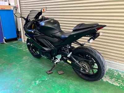 Yamaha YZF-R3 2019