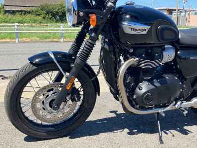 Triumph Bonneville T100 2024
