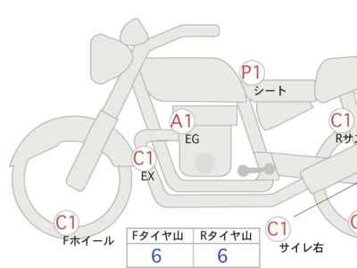 Kawasaki W800 2022