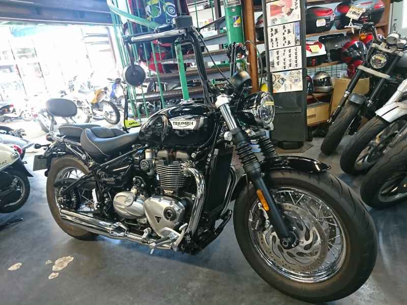 Triumph Speedmaster 2024