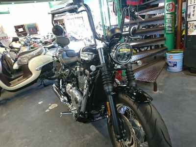 Triumph Speedmaster 2024
