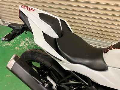 Kawasaki Ninja 250 2015