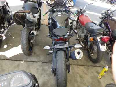 Kawasaki Ninja 250 2022