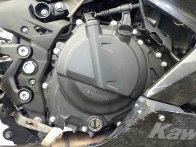 Kawasaki Ninja 250 2022