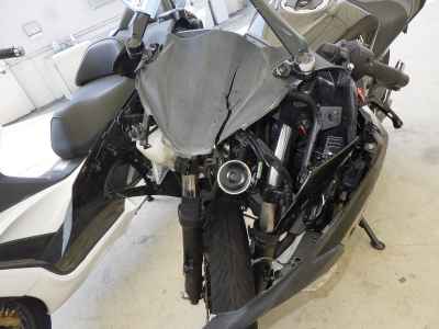 Kawasaki Ninja 250 2021