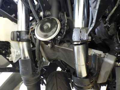 Kawasaki Ninja 250 2021