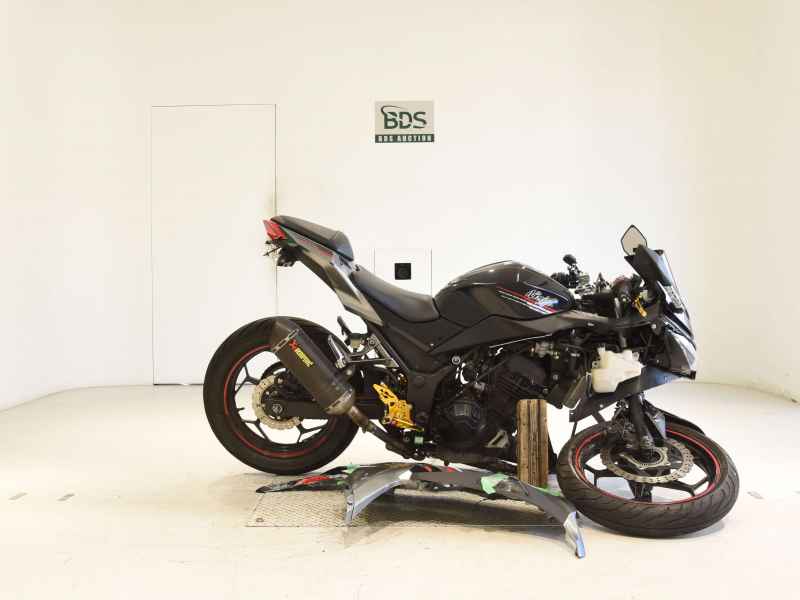 Kawasaki Ninja 250 2013