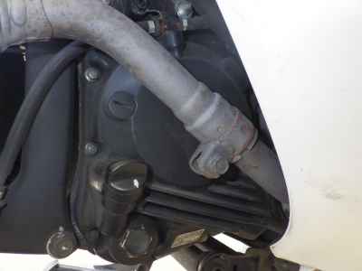 Honda Forza 2005